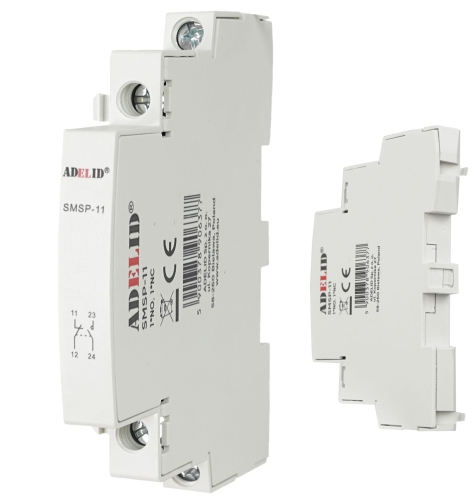 SMSP-11 (2).jpg