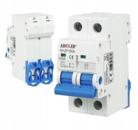 Wyłącznik Rozłącznik Izolacyjny FR 100A 2P (1P+N)