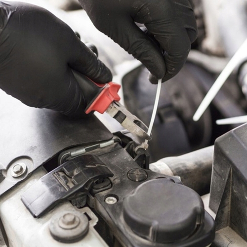 b37f8d3ed4649d3f98efeecdd16555bb